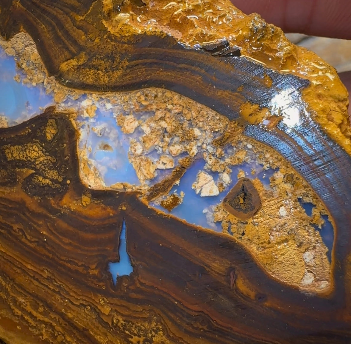 306.3g - Large Yowah Nut Opal Rough Slab - Opal Whisperers