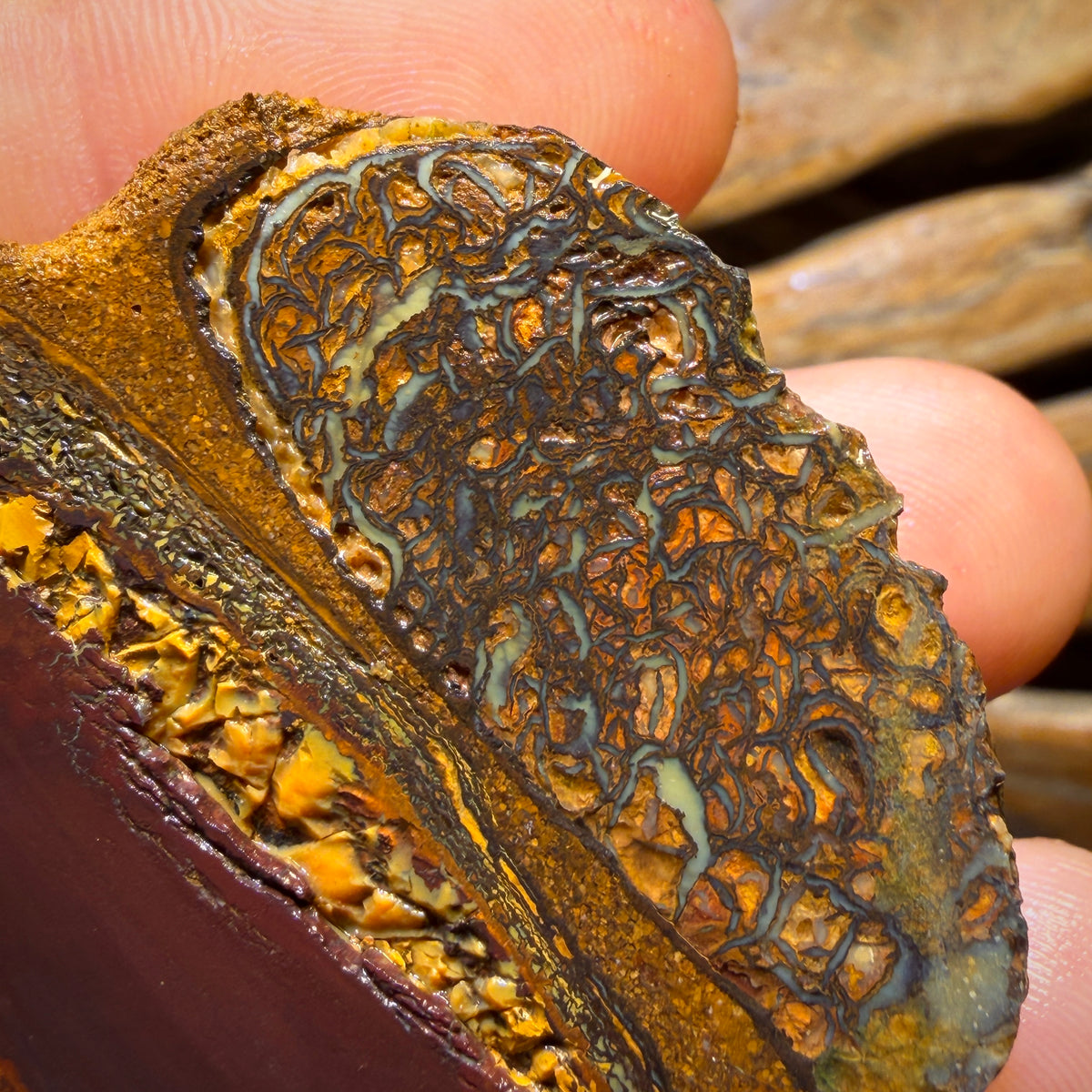 428cts - RARE Yowah Nut Crystal Centre Rough Specimen Pair