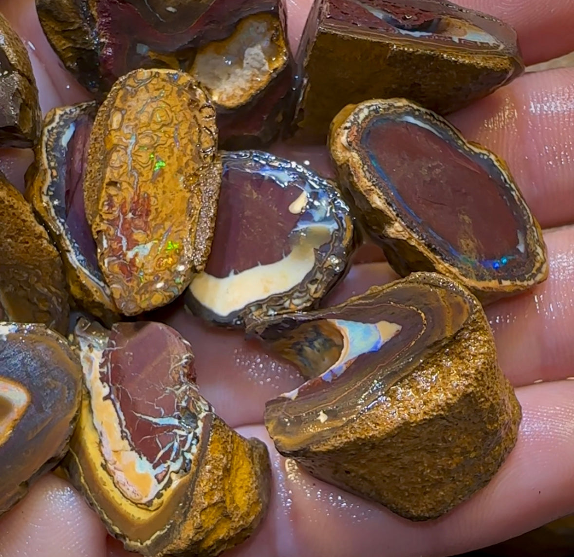 92.1g - 12x Queensland Boulder Rough Opal Parcel - Opal Whisperers
