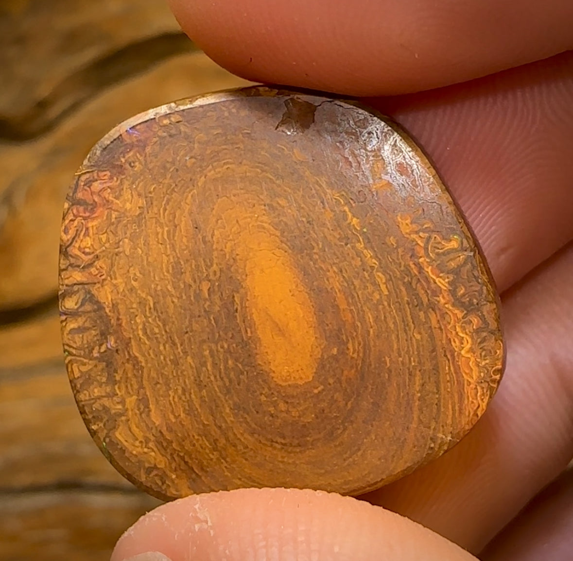 29.3cts - Tribal Yowah Nut Opal. Electric Green