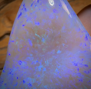 137.2cts - “The Titan” HUGE GEM Lightning Ridge Crystal Opal.
