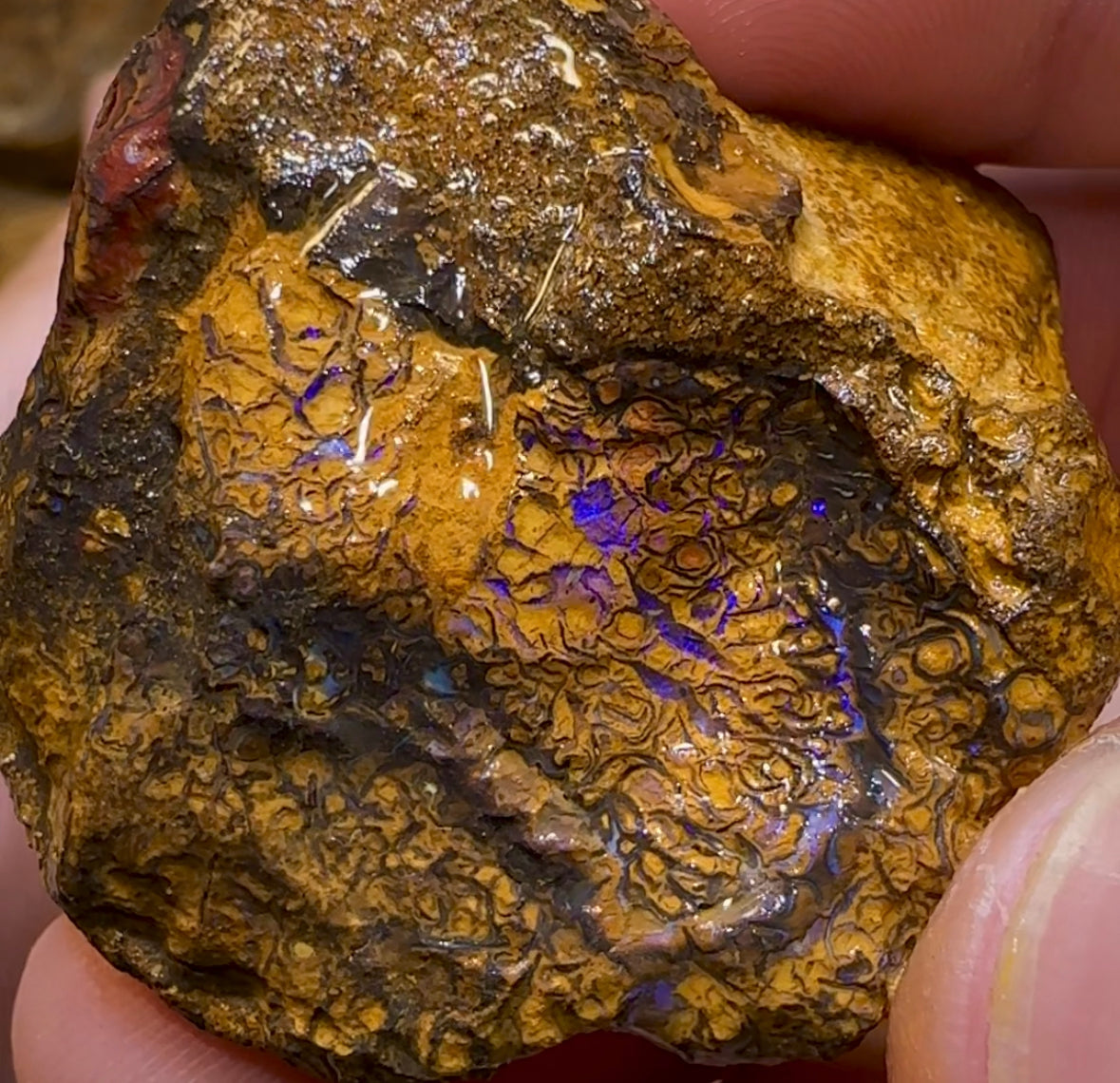 5x Medium Queensland Boulder Opal Potch, Pattern and Colour Rough. BULK LISTING - Opal Whisperers