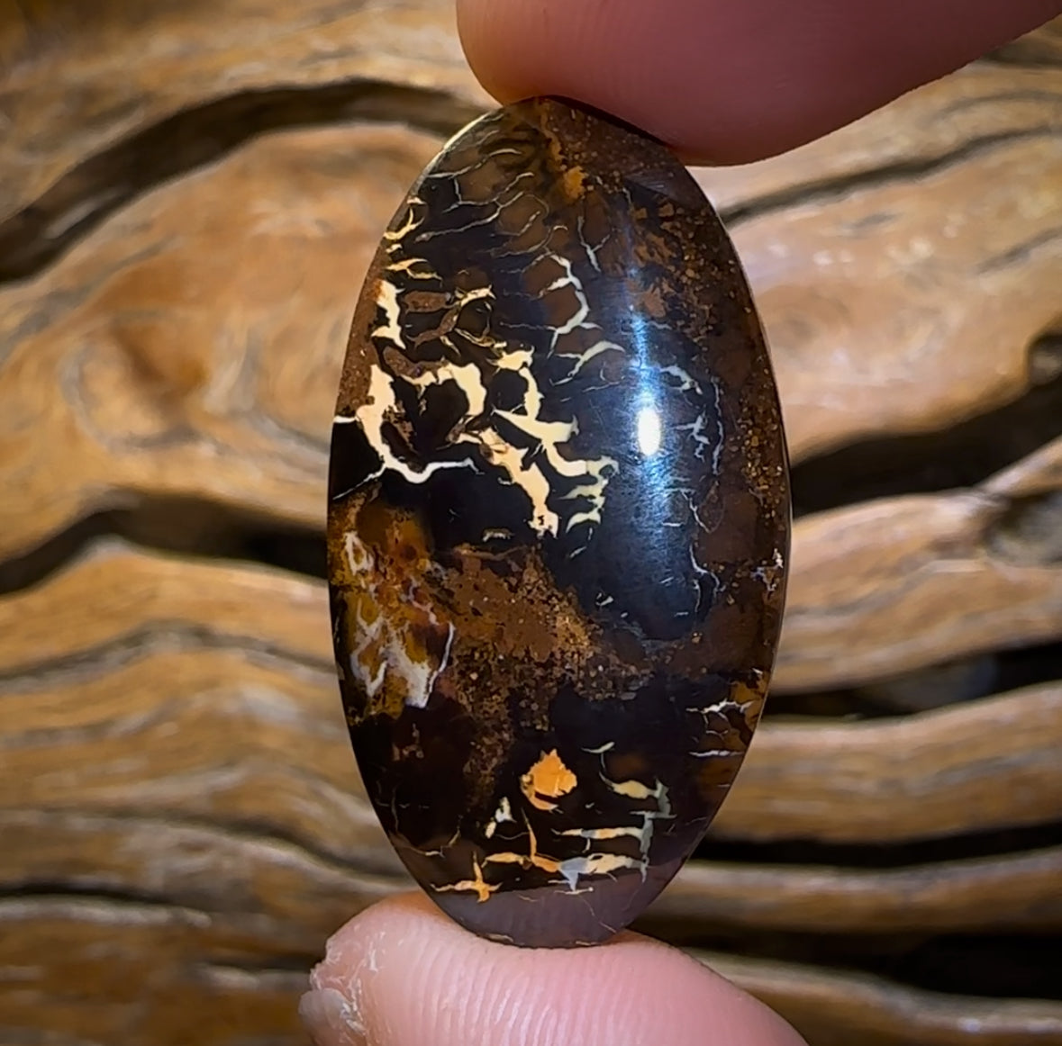 51.1cts - Queensland Boulder Opal BARGAIN PICTURE STONE