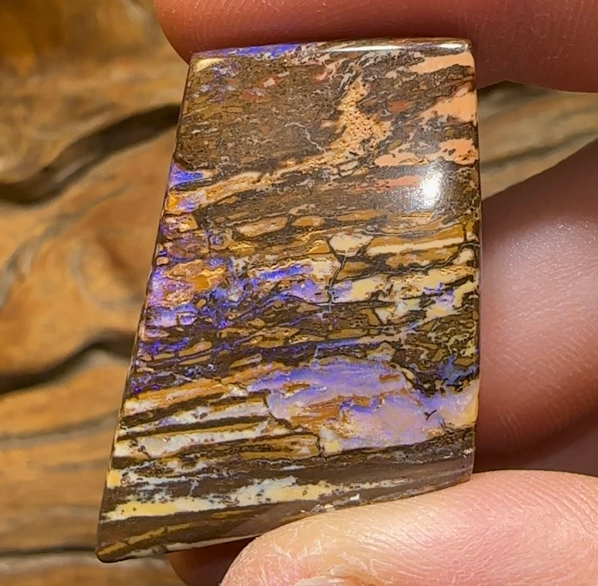 88.5cts - Wonderful Wood Fossil Australian Boulder Opal - Opal Whisperers