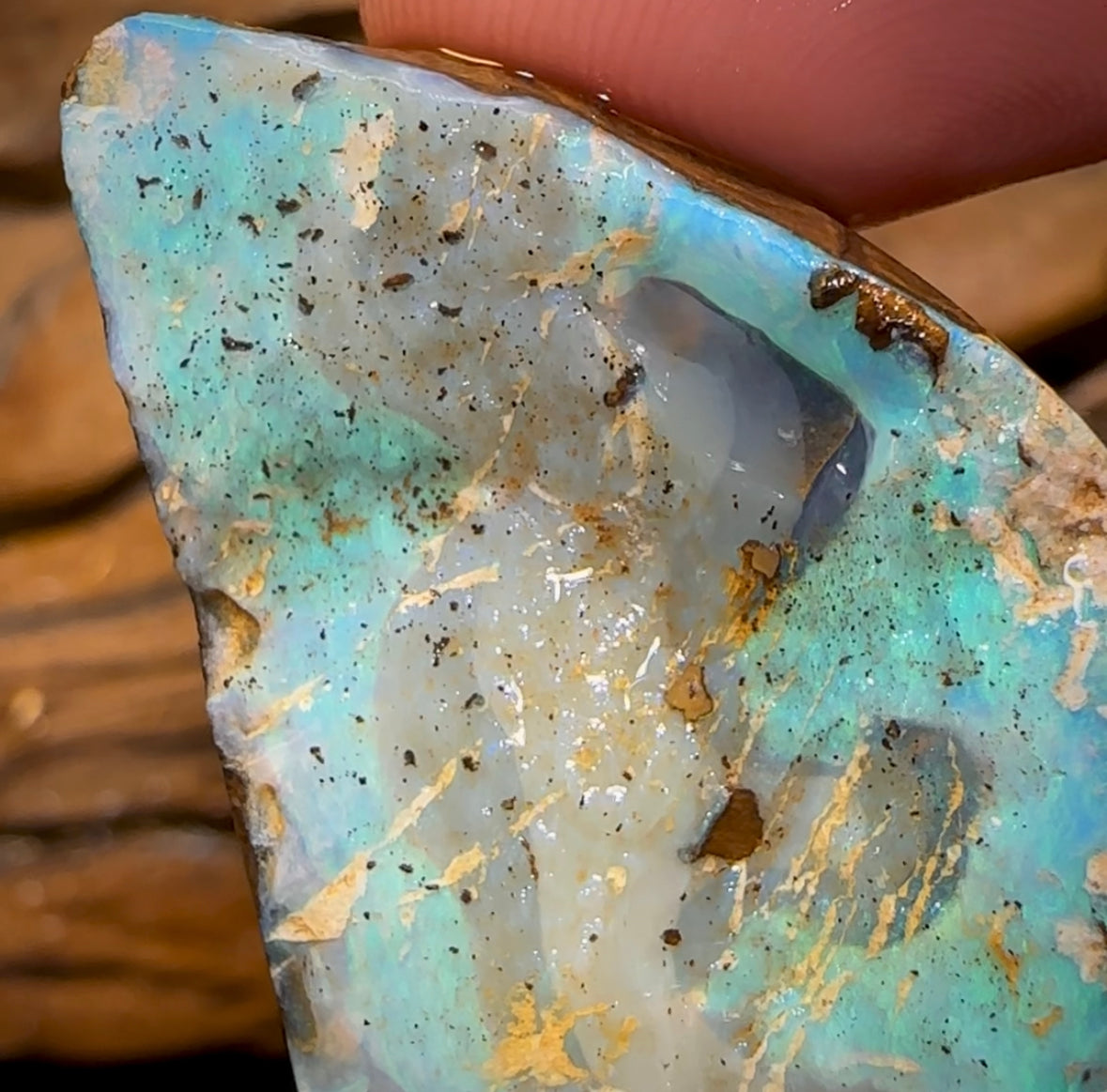 78.5cts - Australian Boulder Opal Rough Preform. Natural Split - Opal Whisperers