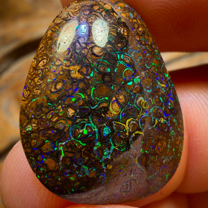 22.1cts - Tan Tribal Queensland Boulder Opal from Yowah. Electric Colour