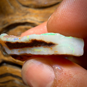 Wild Card! 42.1cts - Large South Australian White Opal Rough Piece