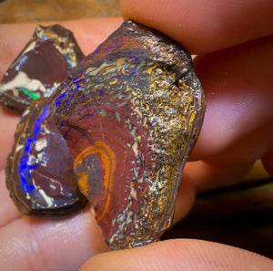 🔒157,6 cts - Lot de 3 opales brutes Yowah Nut. Opale boulder australienne
