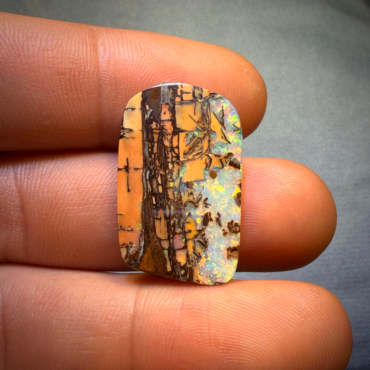 “Set in Stone” - Private Collector Investment - 12.6cts - TOP Gem Wood Fossil Replacement Opal from Yowah. Featured on “Outback Opal Hunters”!