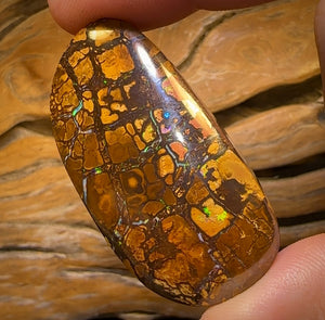 🔨 AUCTION 🔨 Reserve 💎 High Roller Banger Auction 💎 281.9cts - “Thick and Chunky” Large Tribal Yowah Nut Opal