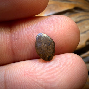 Wild Card! 1.1cts - Queensland Boulder Seam Opal. Australian Opal