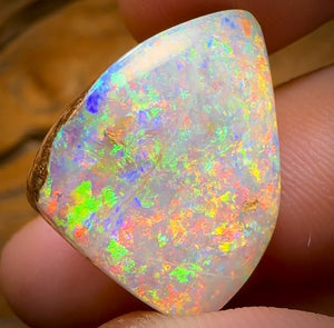 27.2cts - TOP GEM Australian Boulder Wood Fossil Opal From Yowah. Red Multicolours!