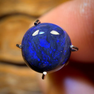 Bargain Card Black! 1.3cts - Black Opal from Lightning Ridge
