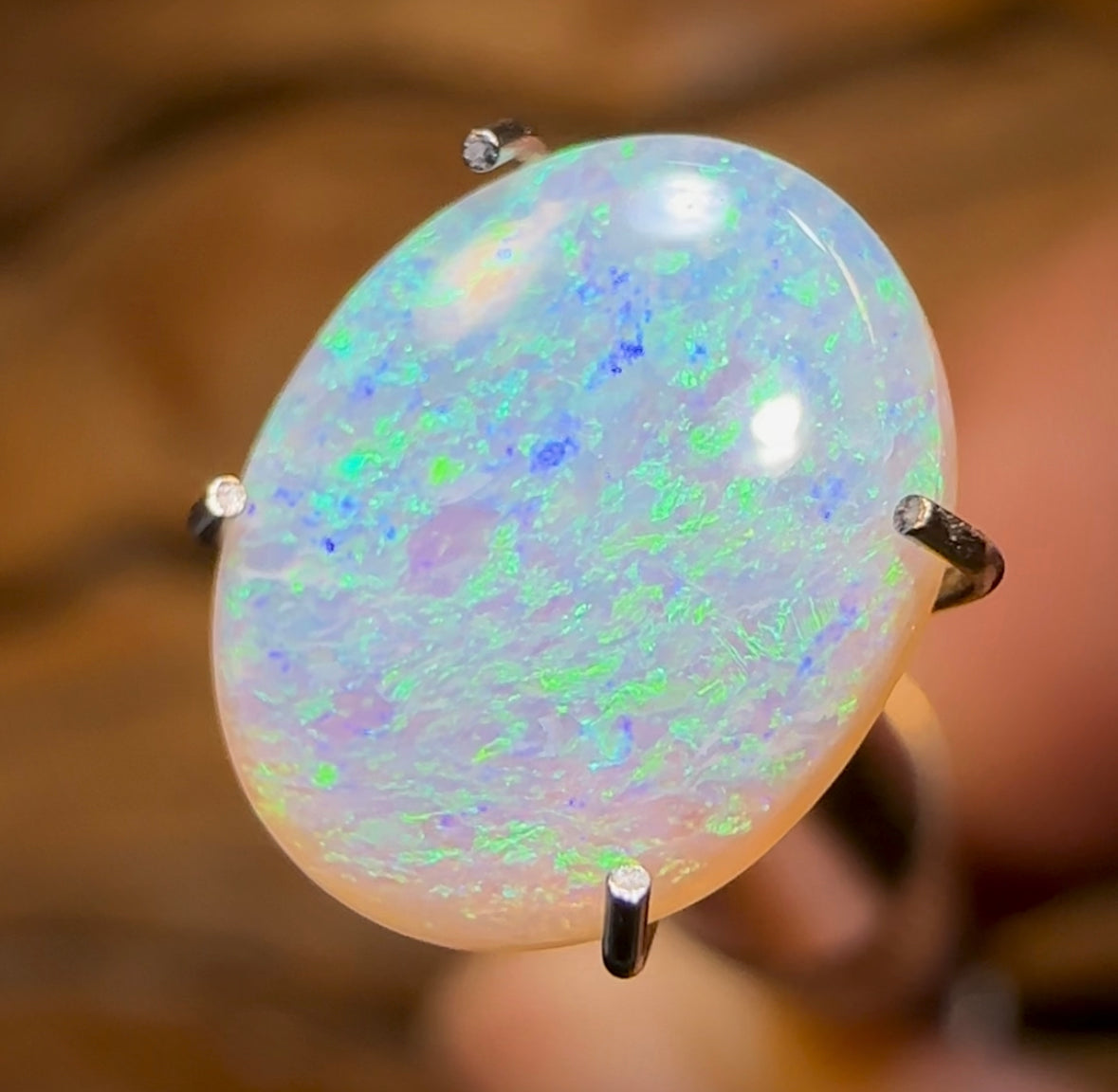 1.5cts - Lightning Ridge Crystal Opal - Opal Whisperers