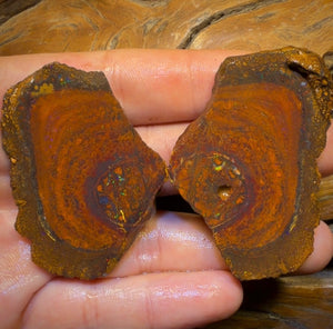 Wildcard! 169.2cts - Tribal Yowah Nut Opal Rough Pair. Australian Opal