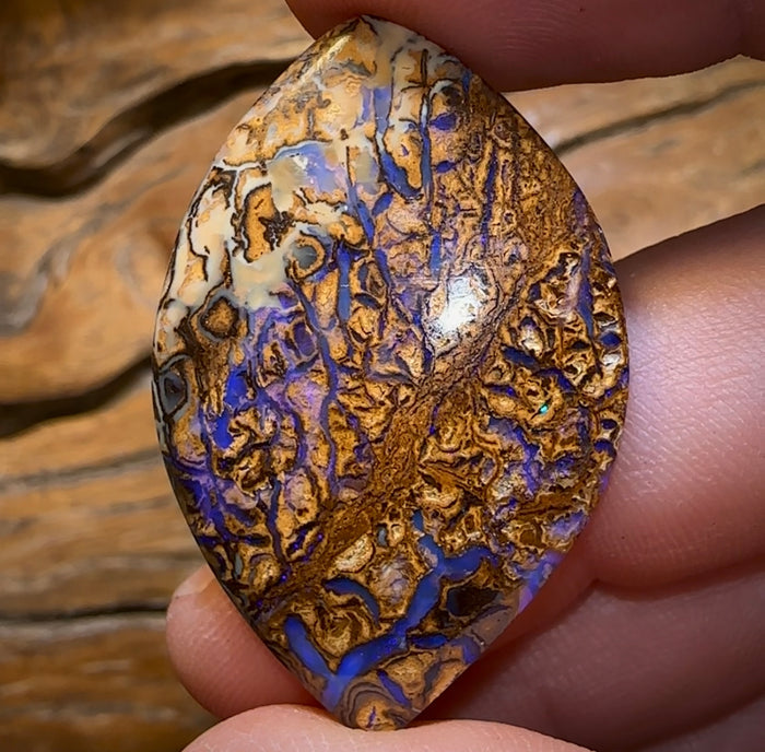 35.7cts - Yowah Nut Tribal Opal - Opal Whisperers