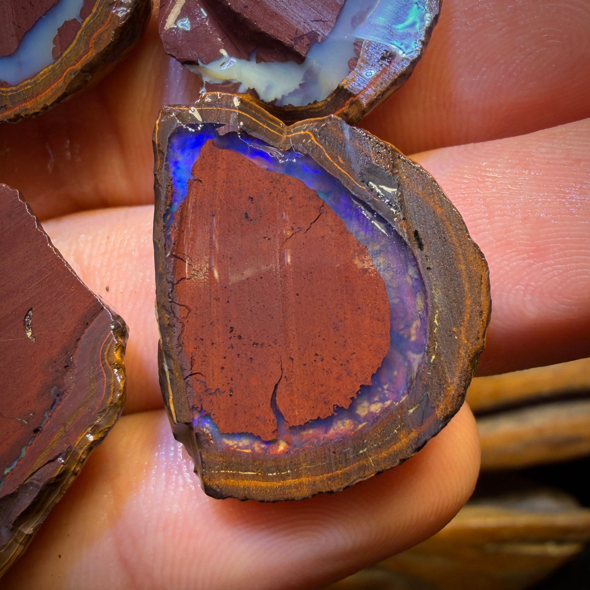 🔨 AUCTION 🔨 192.1cts - 5x Yowah Nut Kernel Rough Half’s Parcel