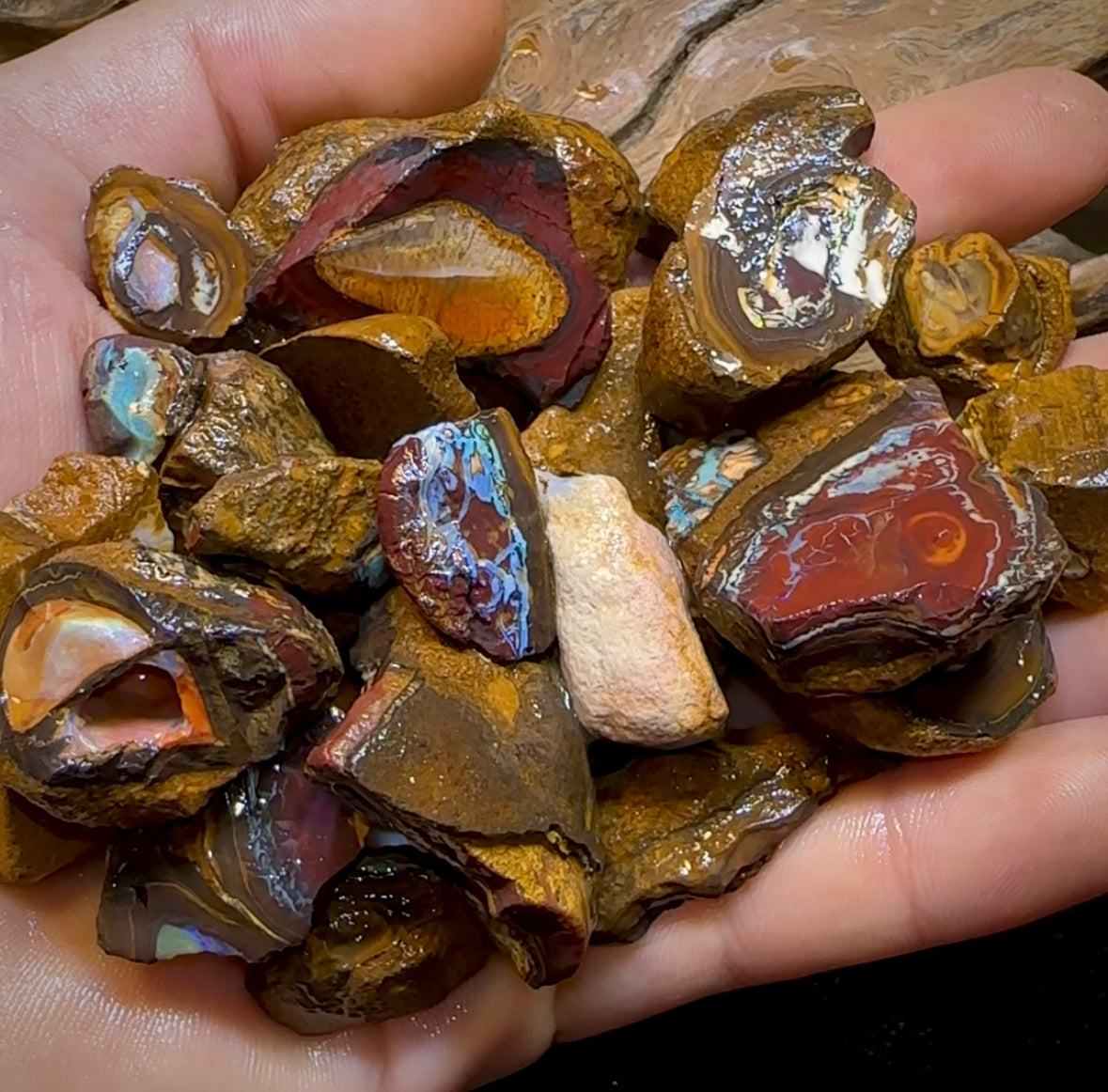261.8g - 29x Yowah Nut Rough Pieces. Australian Opal With Kernel Crystal Centres. Less than $1/ct - Opal Whisperers