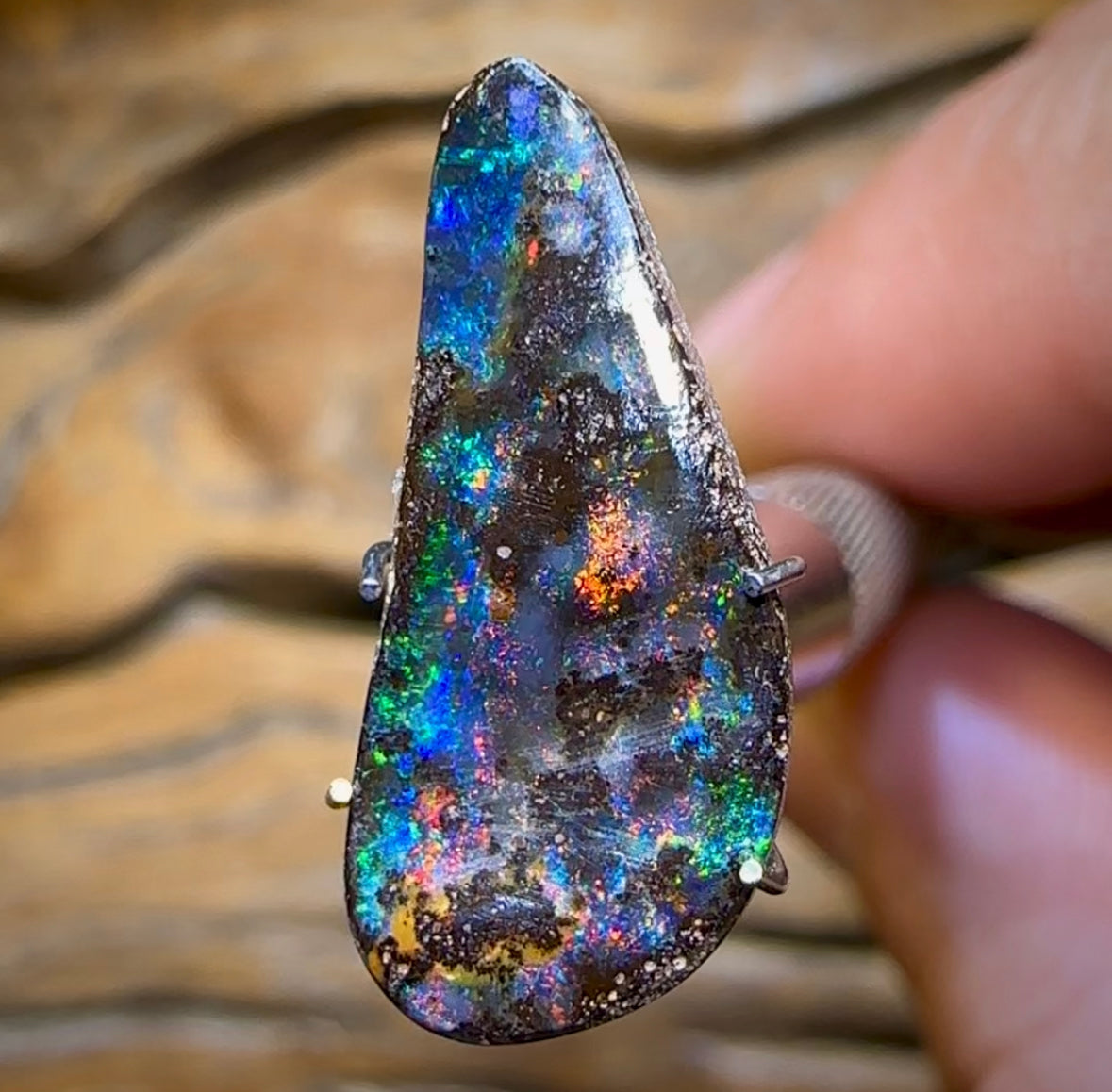 3.7cts - Queensland Boulder Black Opal from Winton - Opal Whisperers