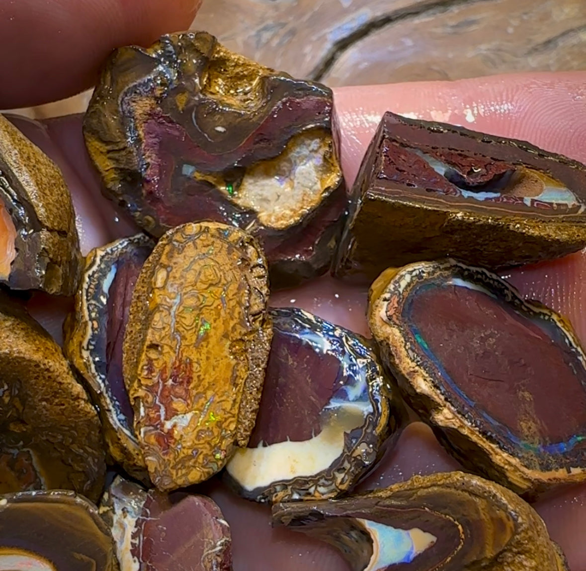 92.1g - 12x Queensland Boulder Rough Opal Parcel - Opal Whisperers