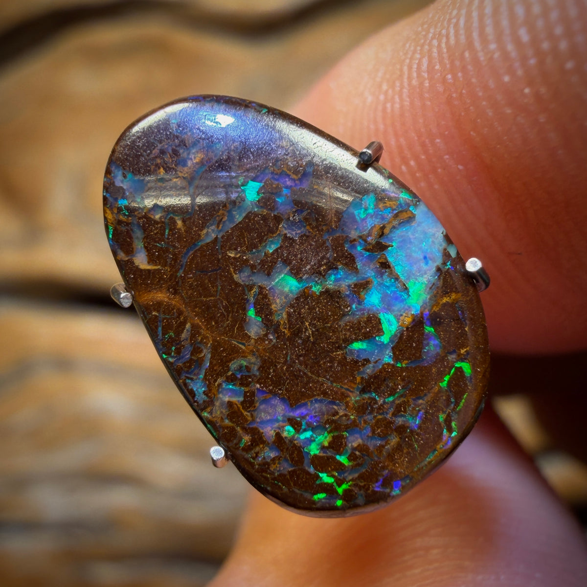 4.5cts - Bubble Band Opal from Winton