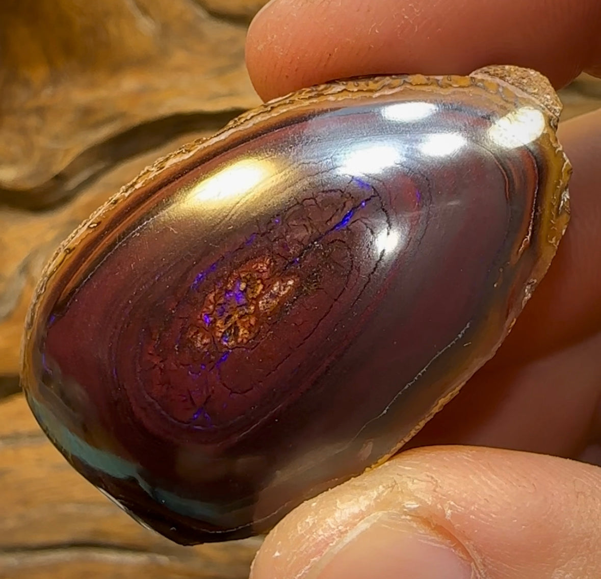 197cts - Yowah Nut Opal Polished Specimen - Opal Whisperers