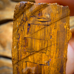 58.5cts - Opalised Wood/Vegetation Fossil Rough Pair from Yowah