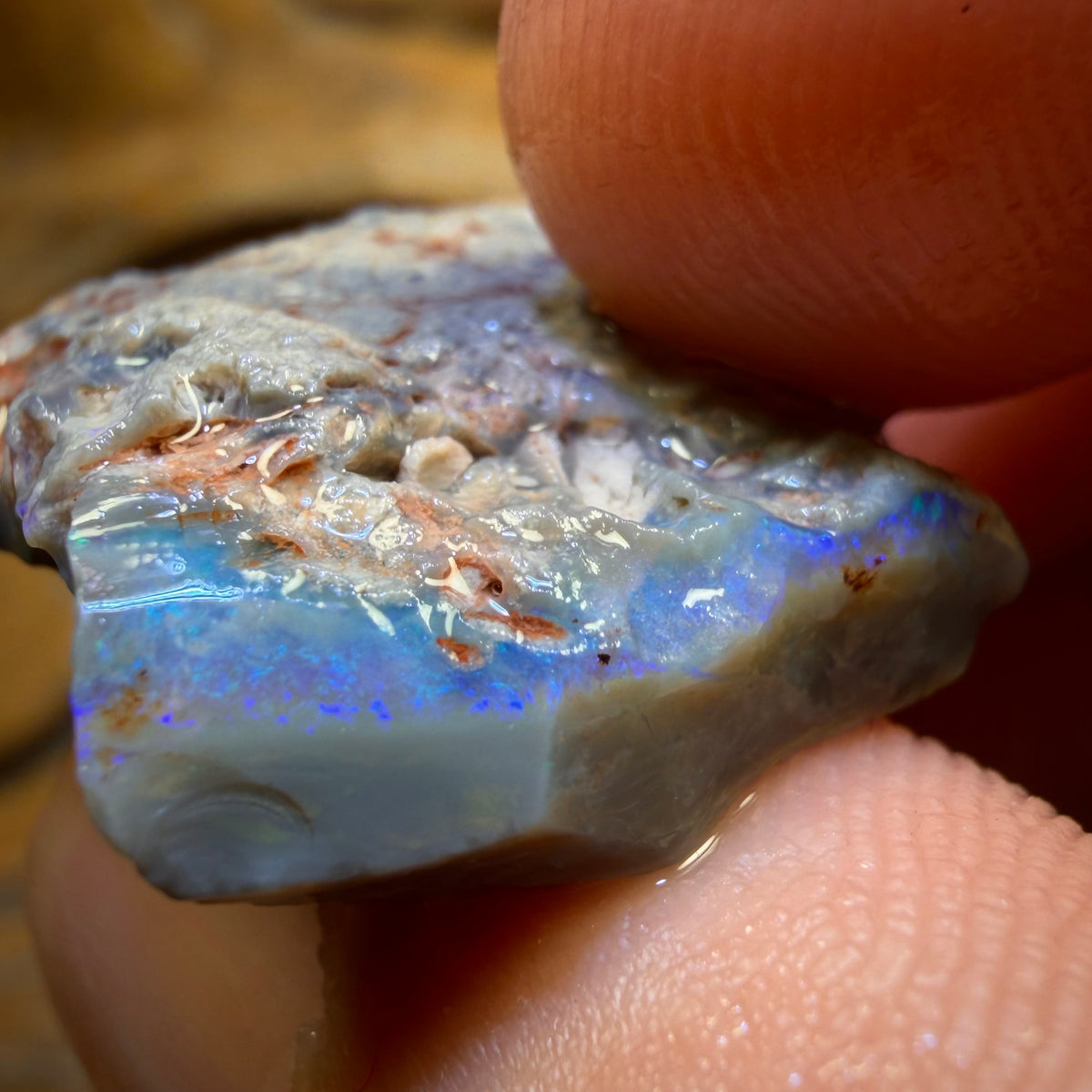 18.7cts - Lightning Ridge Dark Opal Rough Piece