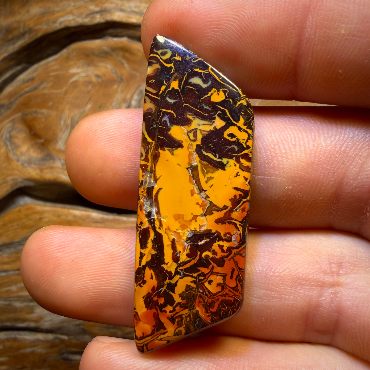 $1000 Off Banger Card! 50.4cts - Top Tribal Queensland Boulder Opal from Koroit