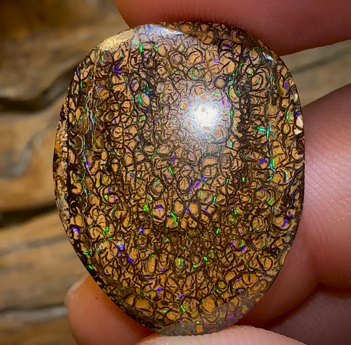 32.3cts - Yowah Nut Tribal Opal - Opal Whisperers