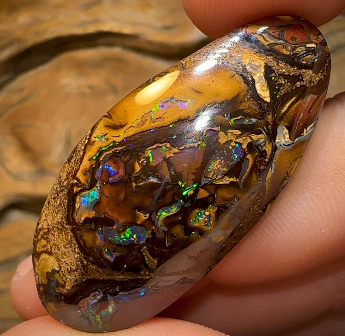 59.6cts - “Fruit cake” Koroit Nut Conglomeration Queensland Boulder Opal - Opal Whisperers