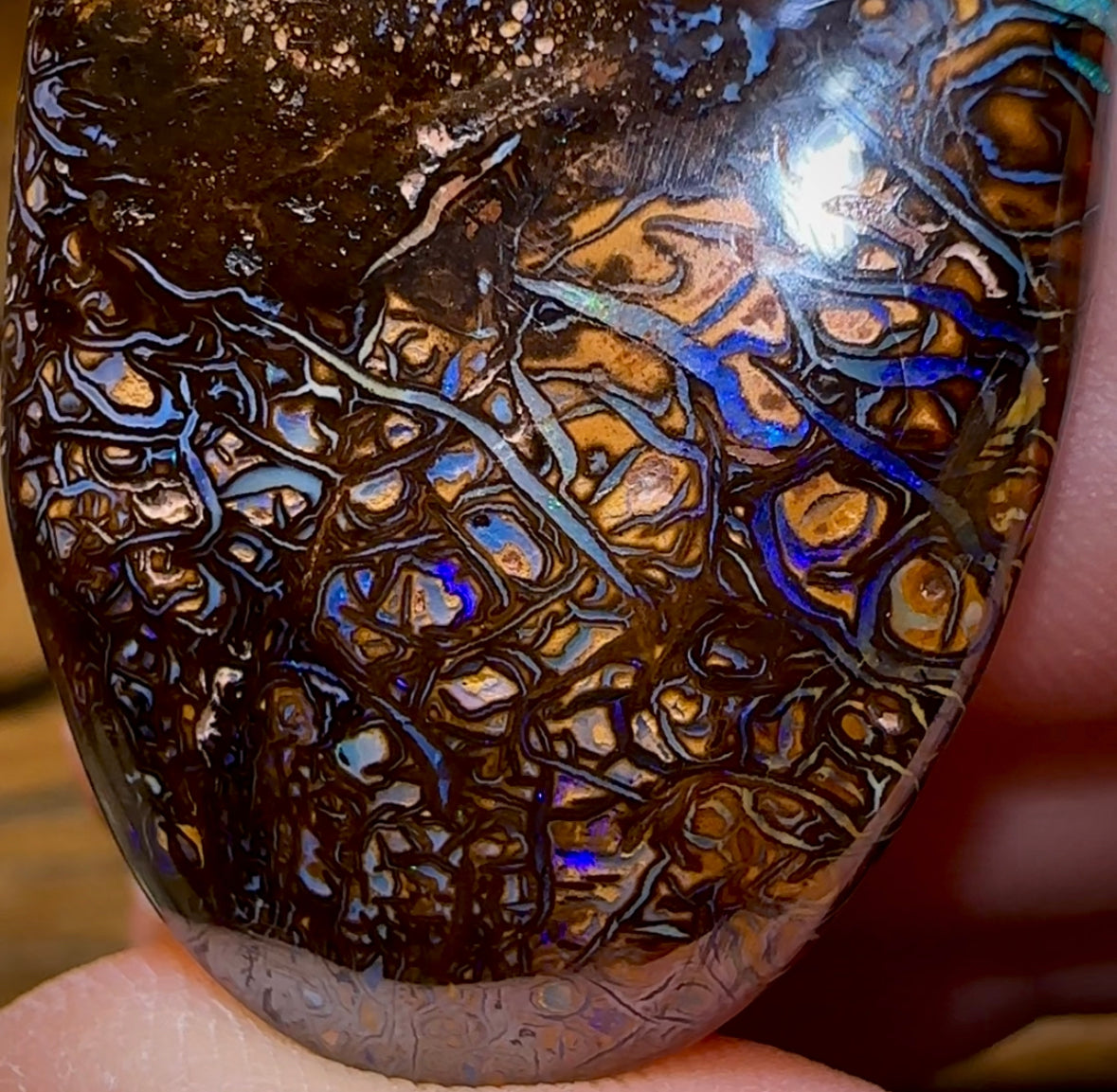 114.2cts - Yowah Nut Dark Tribal Opal Bargain - Opal Whisperers