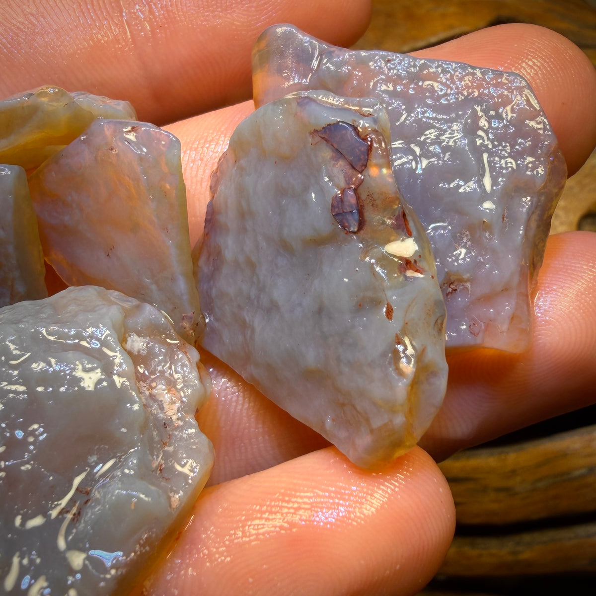 187cts - 11x Lightning Ridge Opal Rough Parcel. Practice Potch
