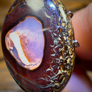 Bargain Card! 11.9cts - Yowah Nut Kernel Opal WITH Tribal Surround. Australian Boulder Opal
