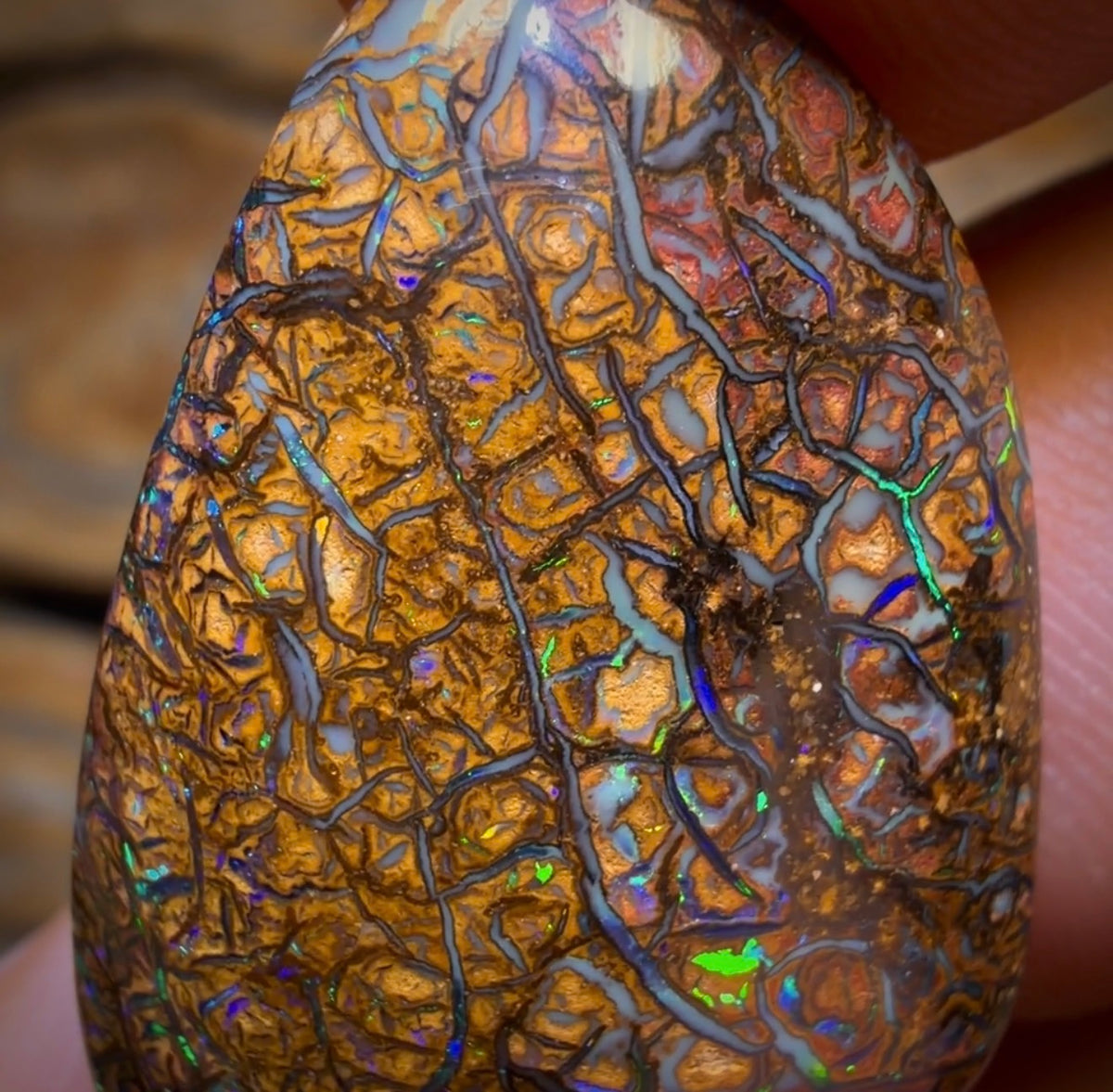 24.3cts - Tan Tribal Yowah Nut Opal. Australian Opal