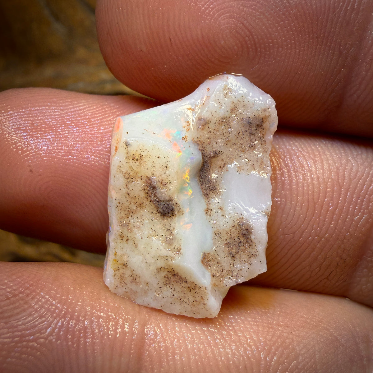 11.9cts - South Australian White Opal Rough Piece