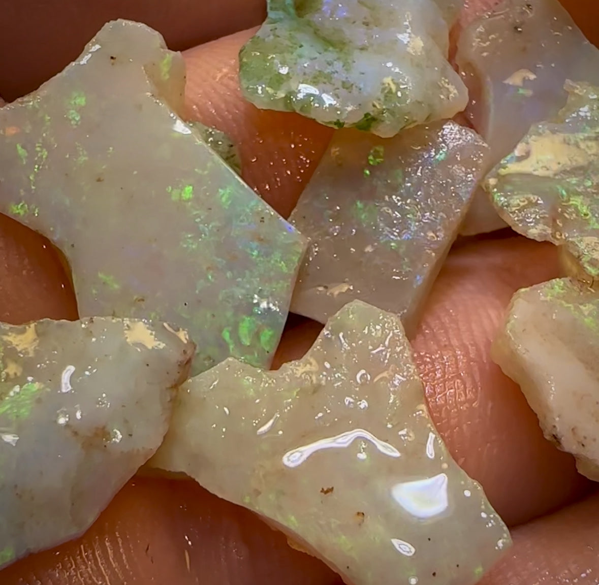 32.8cts - 13x Lightning Ridge Light Opal Rough Parcel