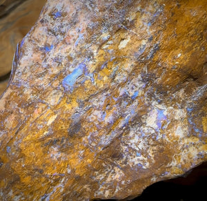 611.2cts - “Opal Dagger”Australian Boulder Wood Fossil Opal Rough Piece. Carvers Delight