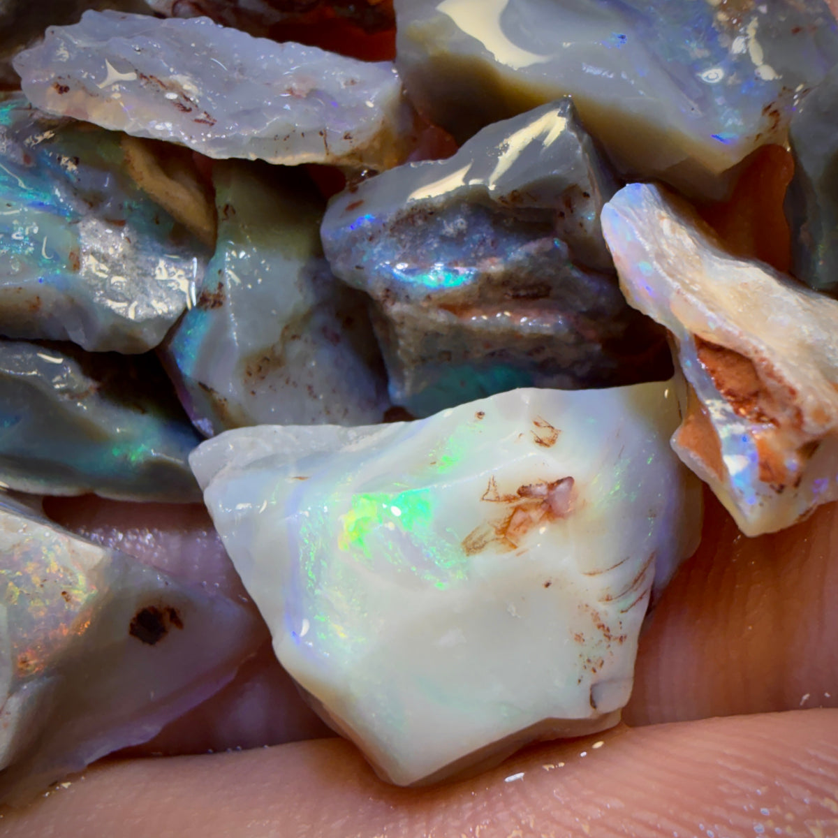 🔒76.4cts - 15x Lightning Ridge Opal Rough Parcel