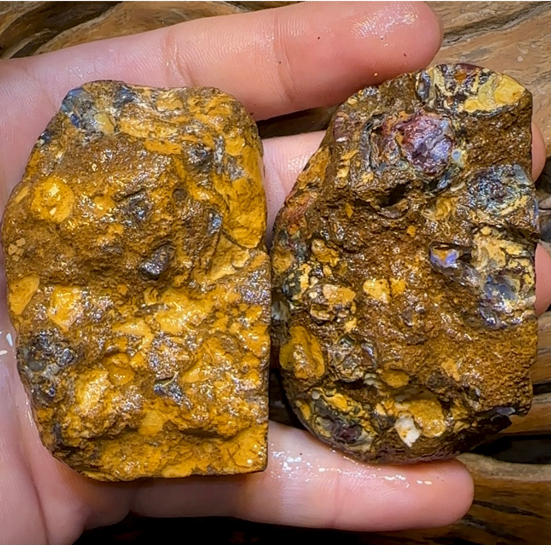 194.6g - Wonderful Yowah Nut Rough Specimen Pair. Australian Boulder Opal - Opal Whisperers