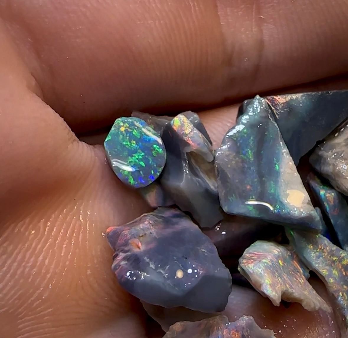 30.7cts - Wow 23x Lightning Ridge Dark and Black Opal Rough Parcel Fire Red Multicolour - Opal Whisperers