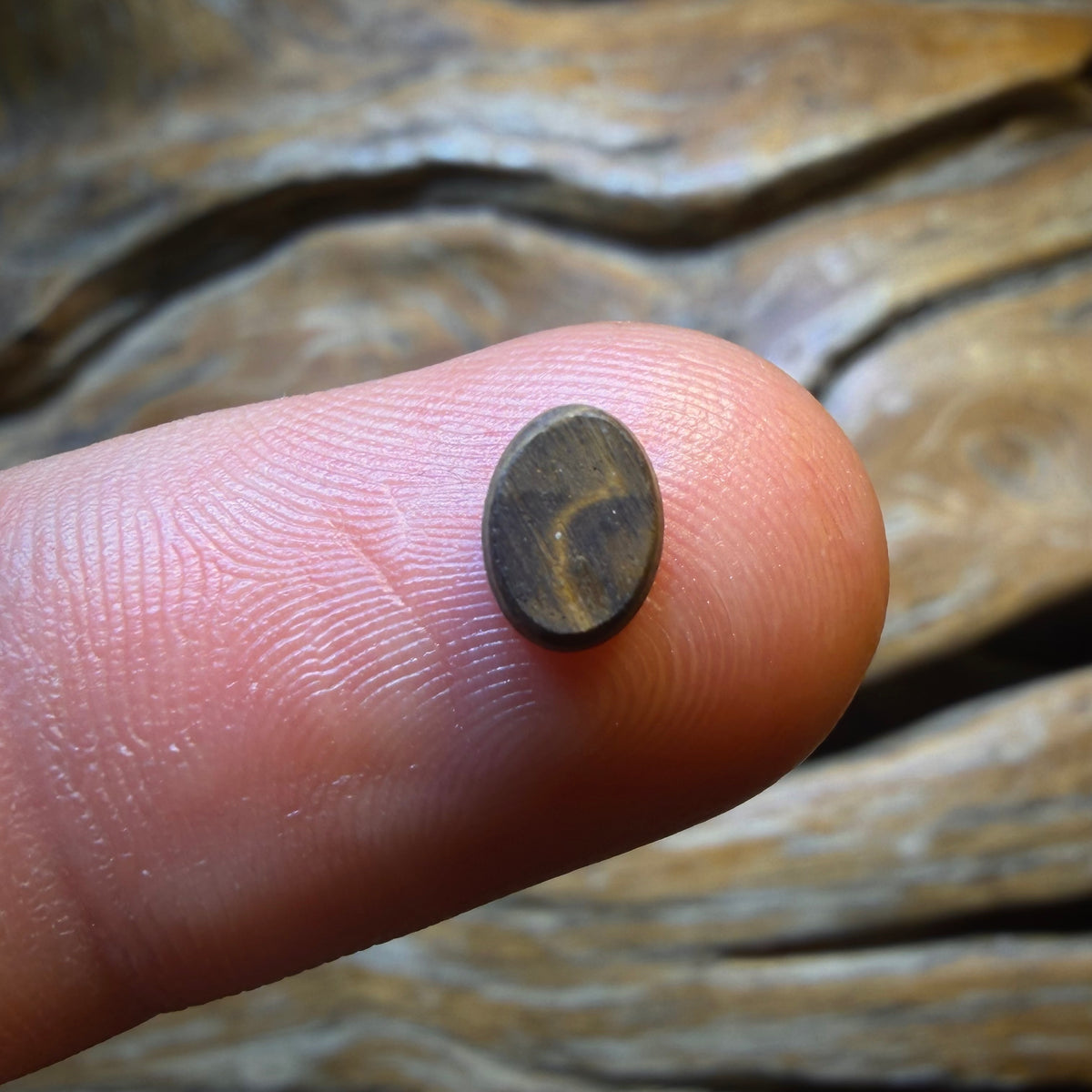 🔨 AUCTION 🔨 No Reserve 0.7cts - Australian Boulder Opal Doublet