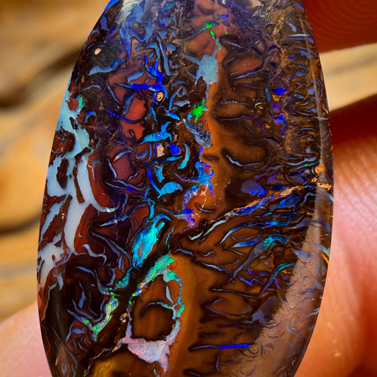 Wildcard! 18.8cts - Black Top Tribal Queensland Boulder Opal Picture Stone from Koroit