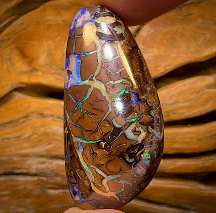 🔨 AUCTION 🔨 Reserve 💎 High Roller Banger Auction 💎 106.6cts - Large Tribal Queensland Boulder Opal from Koroit