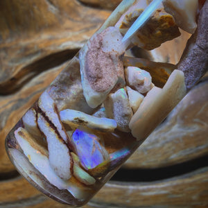 Wild Card!  110.8cts - Vial of Shell Fossil Opal from South Australia