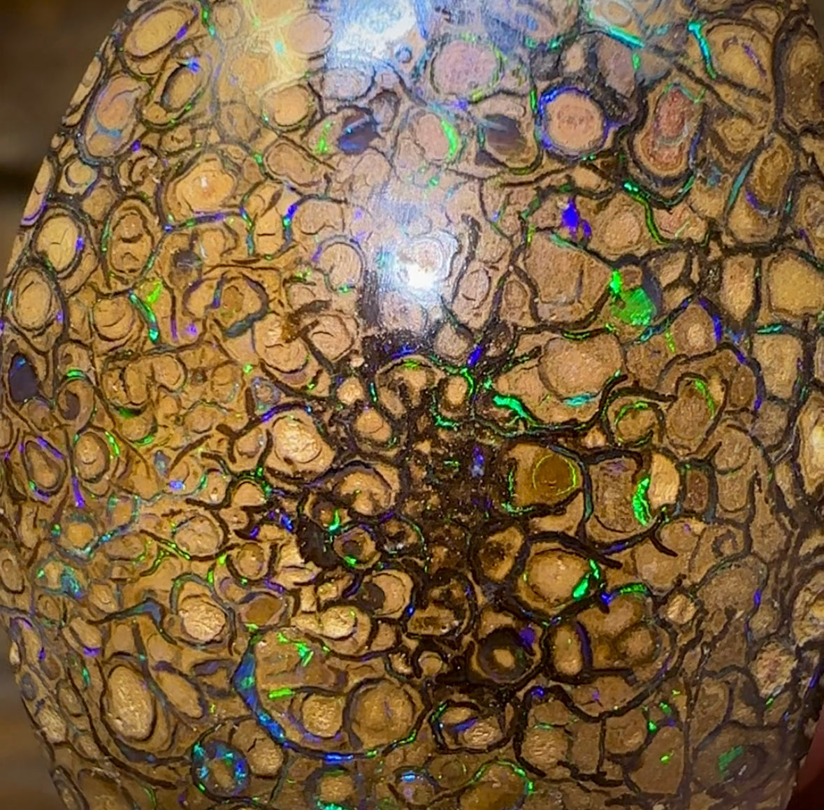 50.5cts - Yowah Nut Tribal. Australian Boulder Opal - Opal Whisperers