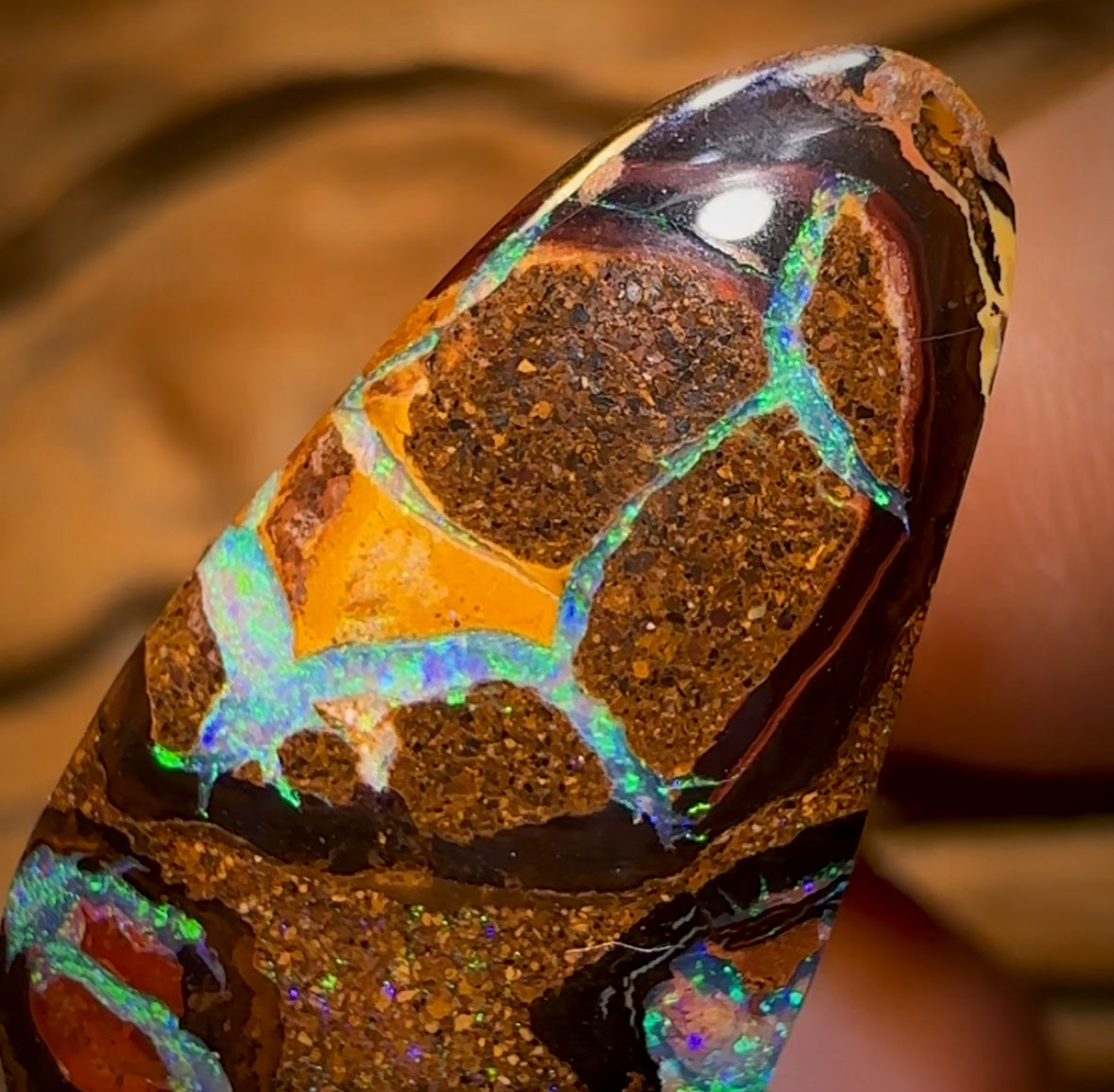 15.4cts - “Magic Beans”Yowah Nut Conglomerate Opal