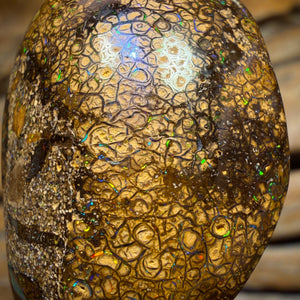 Solid Tan Tribal Queensland Boulder Opal Pendant