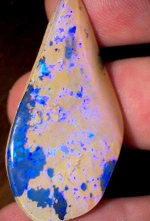 43.80cts - Big Reef Pattern Solid Boulder Pipe Opal - Opal Whisperers