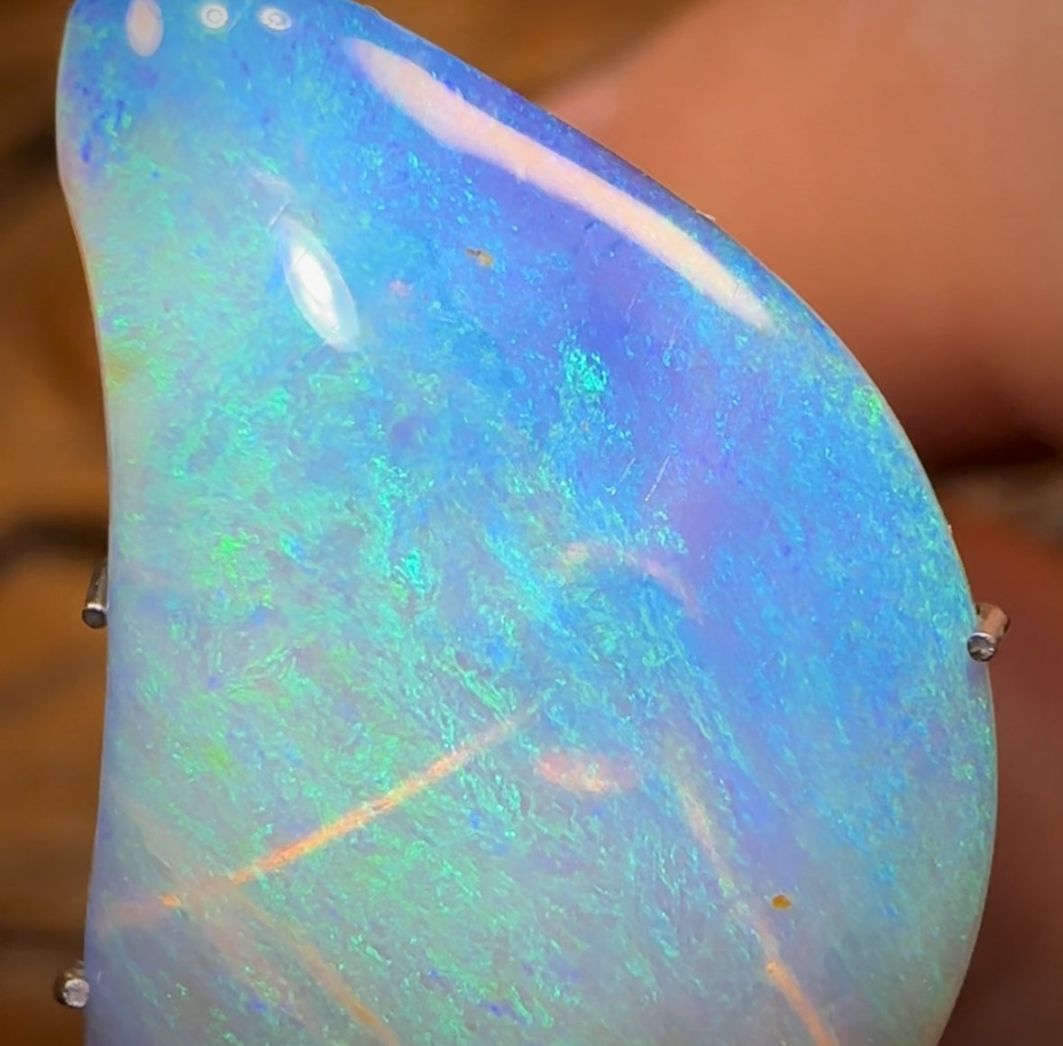 6.4cts - “Ocean Memory” Polished Opalised Shell Fossil from South Australia Double Sided Magic